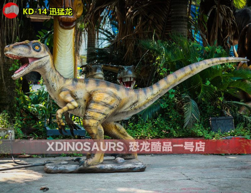KD-14 3米體長(zhǎng)迅猛龍