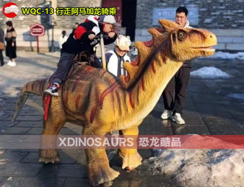 WQC-13 行走阿馬加龍騎乘