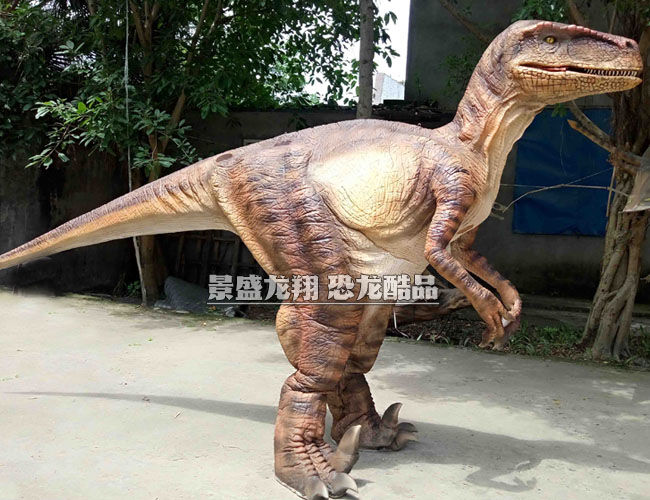 硅膠迅猛龍服裝